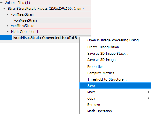 GUI_StatusAndModules_ProjectStatusSection_VolumeFiles_ConvertToSaveAsRAW_3