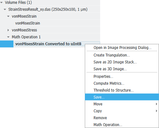 GUI_StatusAndModules_ProjectStatusSection_VolumeFiles_ConvertToSaveAsRAW_3