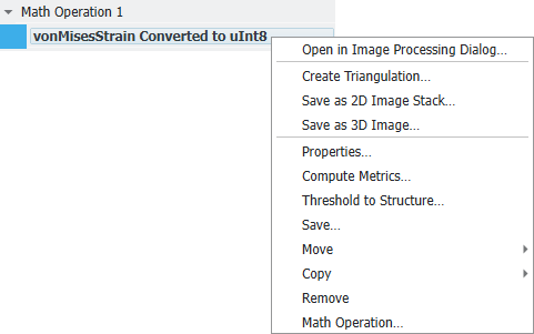 GUI_StatusAndModules_ProjectStatusSection_VolumeFiles_MathOperation_ConvertToDataType_NewOptions