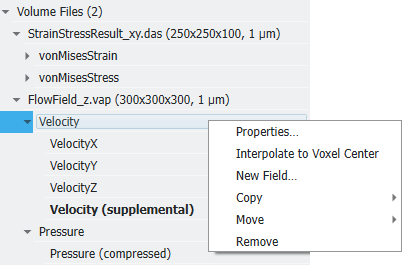 GUI_StatusAndModules_ProjectStatusSection_VolumeFiles_VolumeImageOptions
