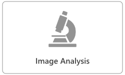 TopicButtons-ImageAnalysis